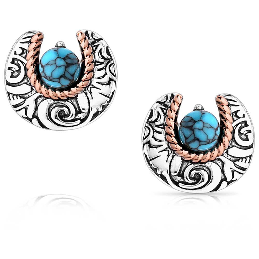 Montana Silversmith ER6028 Luck of the Pure Earrings