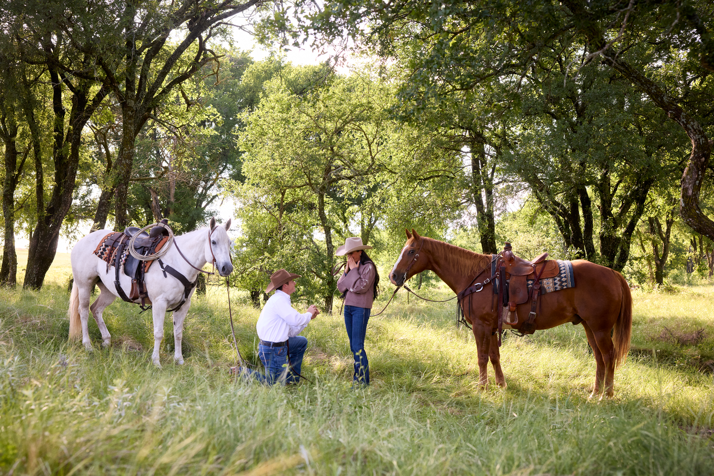 Ariat 10062820 WMS Caravan Sweater