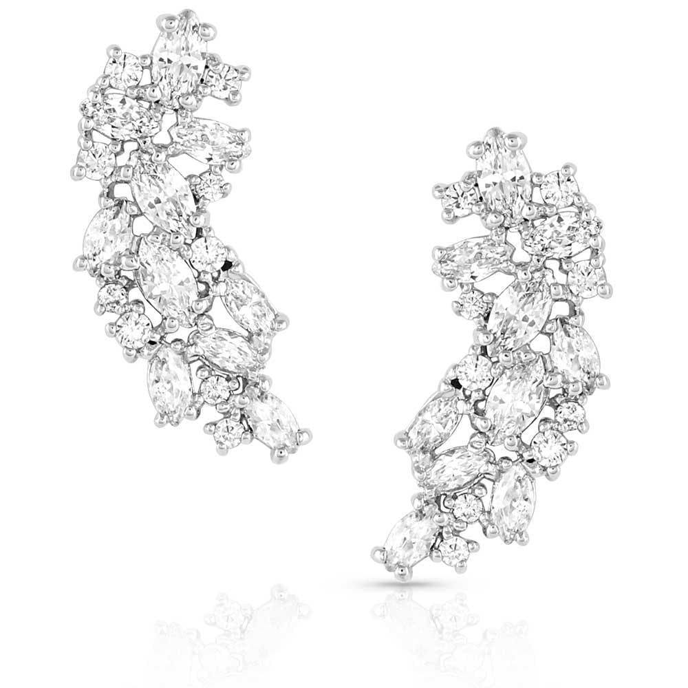 Montana Silversmith ER5513 Shimmering Display Crystal Earrings