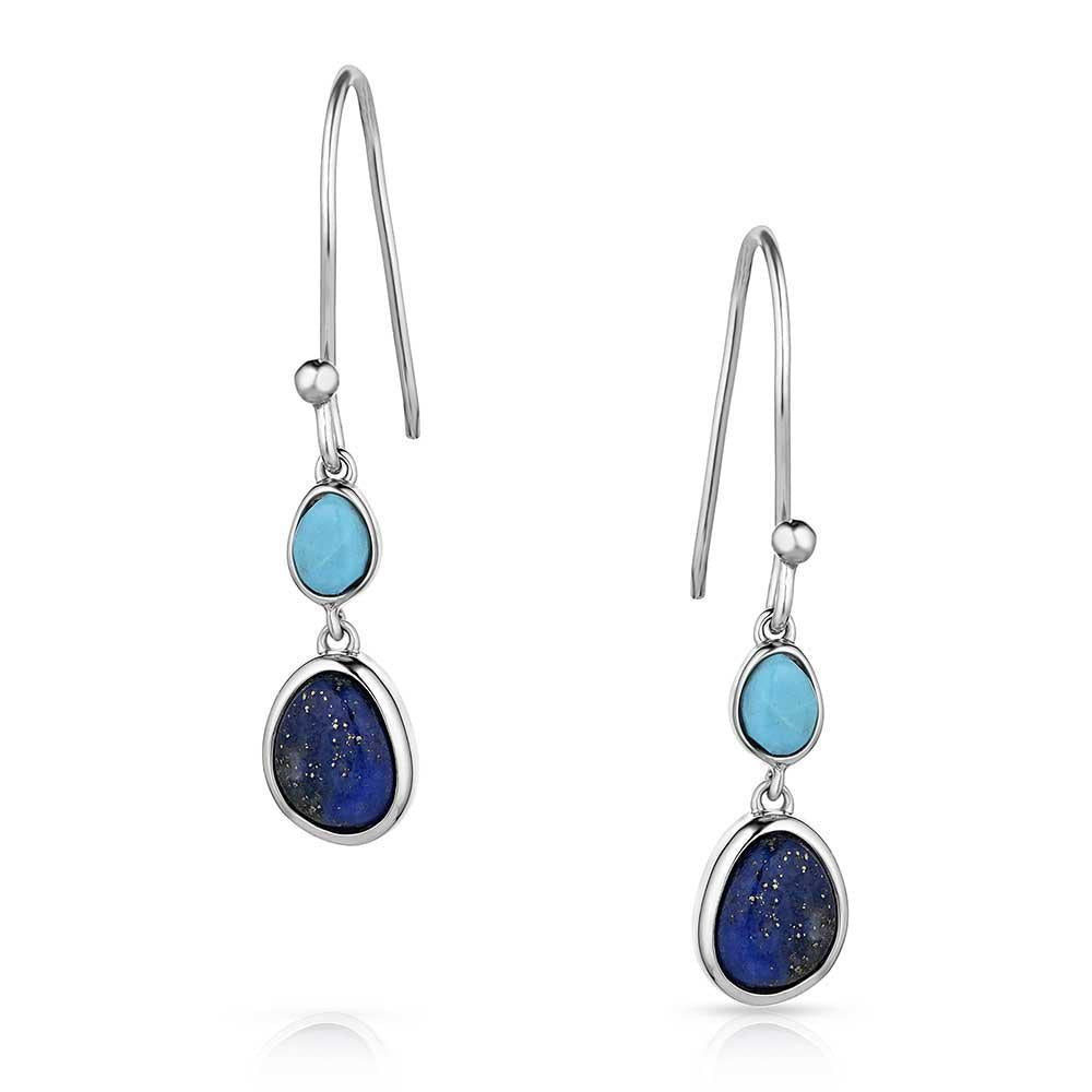 Montana Silversmith ER5856 Nature's Obsession Earrings