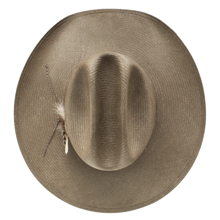 Charlie 1 Horse Hold My Halo - Grey - CSHOMH-304053