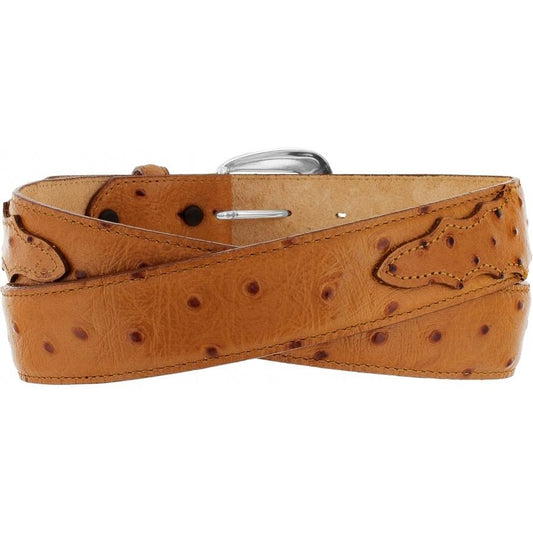 Tony Lama 1377L Ostrich Print Belt