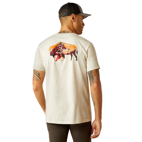 Ariat 10052571 Men's Ariat Bison Landscape T-Shirt Oatmeal Heather