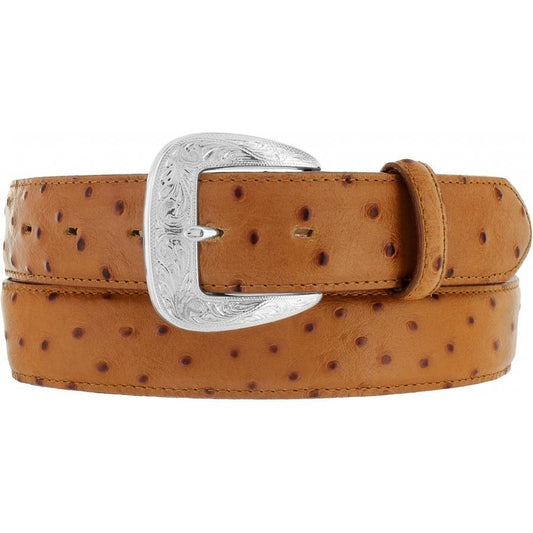 Tony Lama 1377L Ostrich Print Belt